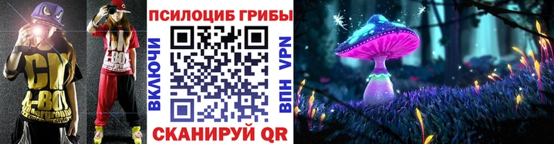 где продают наркотики Тогучин Псилоцибиновые грибы Psilocybe